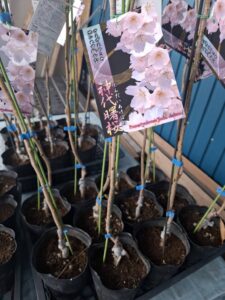 【植樹活動実施のお知らせ】第1回 東名グループの森植樹活動